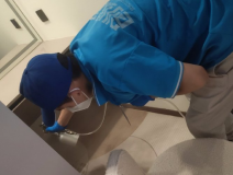 地毯也會引起甲醛超標嗎？